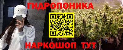 a pvp Новокубанск