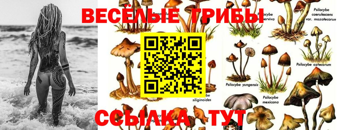ГАШИШ  Тамбов  Cocaine  Вход с VPN  ЭКСТАЗИ  Меф кристаллы  ГАШ  Бошки Шишки 