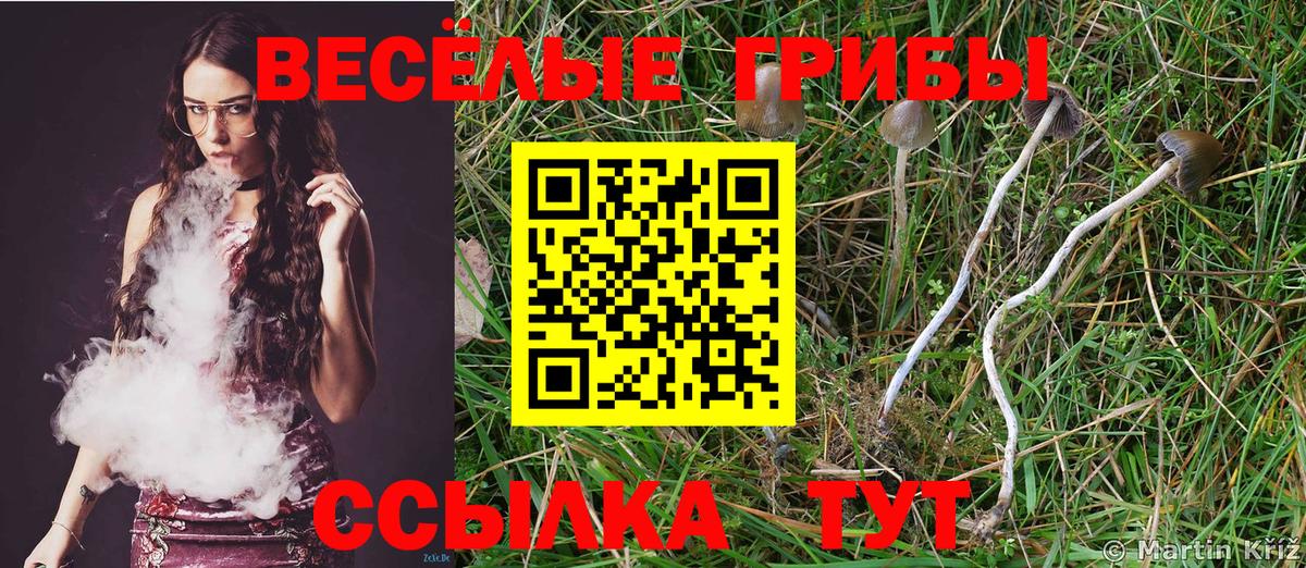 Галлюциногенные грибы Psilocybine cubensis  Псилоцибиновые грибы MAGIC MUSHROOMS  Вход с VPN  Тамбов 