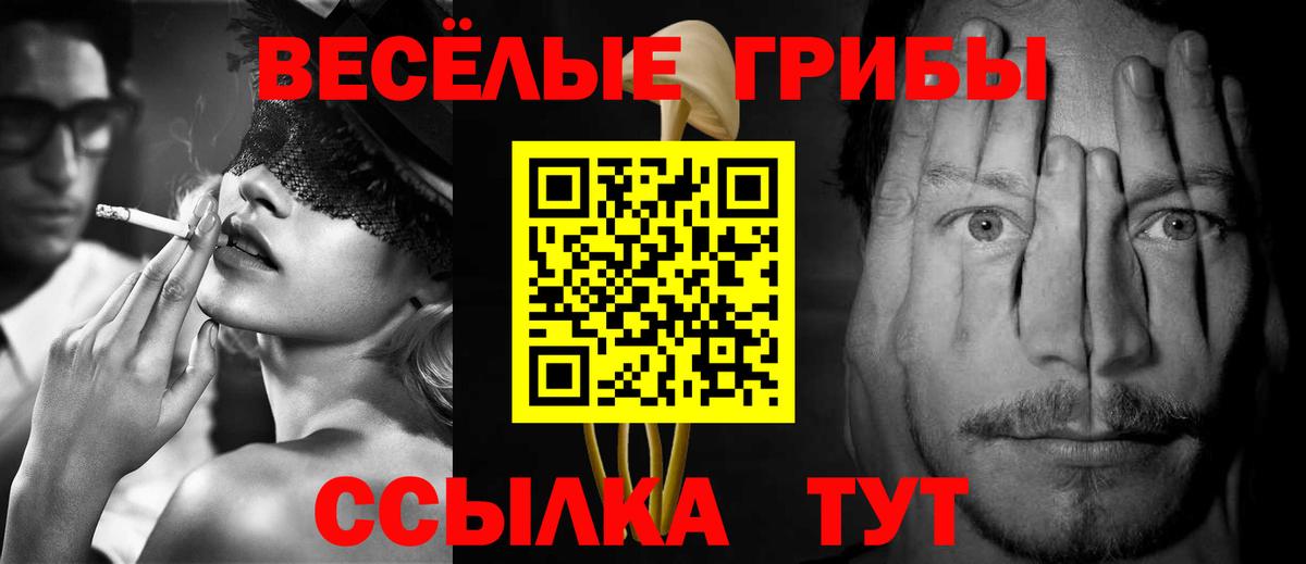 Псилоцибиновые грибы MAGIC MUSHROOMS Тамбов